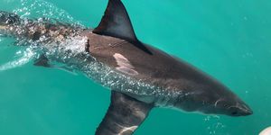 WhatsApp_Image_2022_07_21_at_10.11.12_AM_2_1658396899