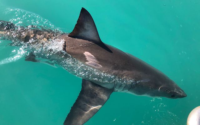 WhatsApp_Image_2022_07_21_at_10.11.12_AM_2_1658396899