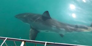 WhatsApp_Image_2022_07_21_at_10.11.13_AM_1658396901