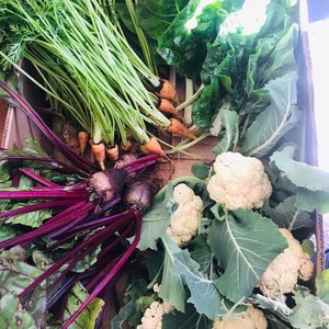 Veggie Box - RAW - Xplorioâ„¢ Greyton