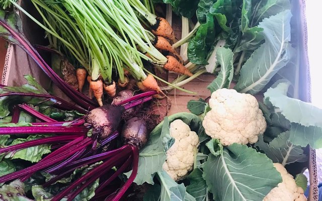 Veggie Box - RAW - Xplorioâ„¢ Greyton