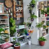 PLAASlik - Xplorioâ„¢ Gansbaai 