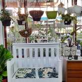 PLAASlik - Xplorioâ„¢ Gansbaai 