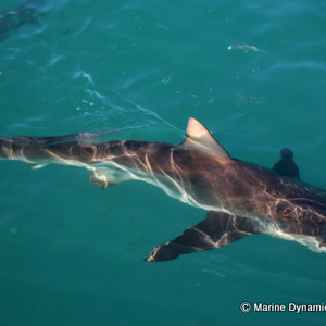 WhatsApp_Image_2022_07_26_at_11.45.03_AM_2_1658829389