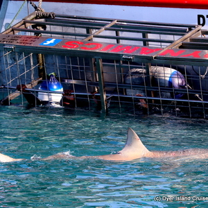 WhatsApp_Image_2022_07_26_at_11.45.05_AM_2_1658829390