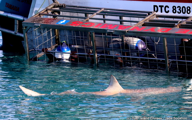 WhatsApp_Image_2022_07_26_at_11.45.05_AM_2_1658829390