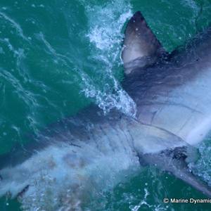 WhatsApp_Image_2022_07_26_at_11.45.38_AM_2_1658829391