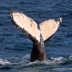 WhatsApp_Image_2022_07_26_at_11.45.02_AM_1__1658830010