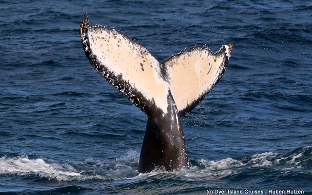 WhatsApp_Image_2022_07_26_at_11.45.02_AM_1__1658830010