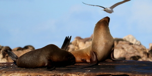 WhatsApp_Image_2022_07_26_at_11.45.04_AM_1658830011