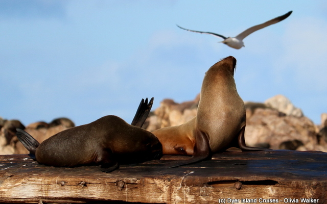 WhatsApp_Image_2022_07_26_at_11.45.04_AM_1658830011