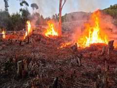 Notice of Prescribed Burn in Hemel-en-Aarde Valley TodayÂ 26.07.2022
