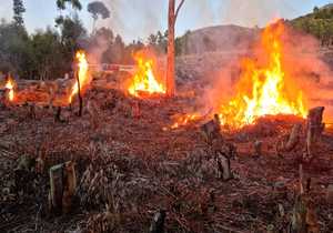 Notice of Prescribed Burn in Hemel-en-Aarde Valley TodayÂ 26.07.2022