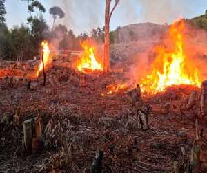 Notice of Prescribed Burn in Hemel-en-Aarde Valley TodayÂ 26.07.2022