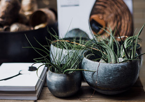 Vacancy in Hermanus: Medical Receptionist