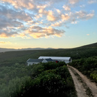 Landscape - HaesFarm - Xplorioâ„¢ Stanford