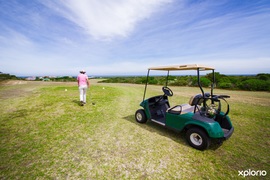 Golf Competition Results for 27 - 31 JulyÂ 2022