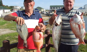 Birkenhead Boothengelklub: Hengelaars verras met mooi geelbekke