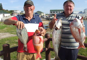 Birkenhead Boothengelklub: Hengelaars verras met mooi geelbekke