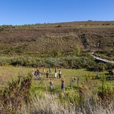Out In Nature - Voice, Movement & Art Exploration Retreat - Xplorioâ„¢ Gansbaai 
