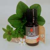 SOil Corinne Seed Essential Oil - Mirre & Kaneel EssensiÃ«le Olies / Essential Oils - Xplorioâ„¢ Kleinmond