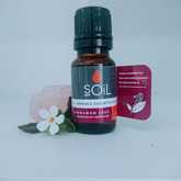SOil Cinnamon Leaf Essential Oil - Mirre & Kaneel EssensiÃ«le Olies / Essential Oils - Xplorioâ„¢ Kleinmond