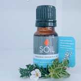 SOil Marjoram Essential Oil - Mirre & Kaneel EssensiÃ«le Olies / Essential Oils - Xplorioâ„¢ Kleinmond