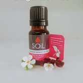 SOil Bergamot Essential Oil - Mirre & Kaneel EssensiÃ«le Olies / Essential Oils - Xplorioâ„¢ Kleinmond