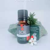 SOil Pine Essential Oil - Mirre & Kaneel EssensiÃ«le Olies / Essential Oils - Xplorioâ„¢ Kleinmond