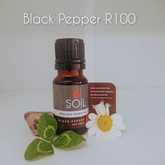 SOil Black Pepper Essential Oil - Mirre & Kaneel EssensiÃ«le Olies / Essential Oils - Xplorioâ„¢ Kleinmond