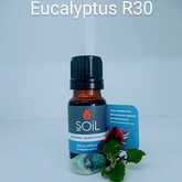 SOil Eucalyptus Essential Oil - Mirre & Kaneel EssensiÃ«le Olies / Essential Oils - Xplorioâ„¢ Kleinmond