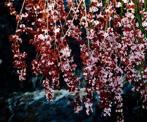 Villiersdorp Water Watch: August 10th 2022