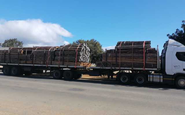 WhatsApp_Image_2022_08_15_at_11.21.45_AM_1660562891