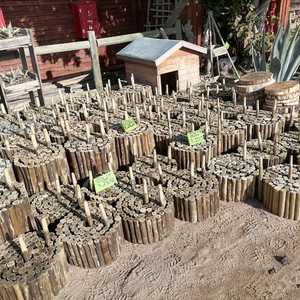 WhatsApp_Image_2022_08_15_at_11.21.48_AM_1__1660563155