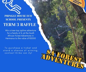 WIN a Tree-top Zipline Adventure for 4!