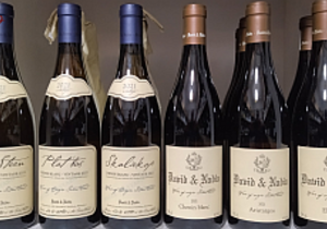 In Stock:Â David & Nadia