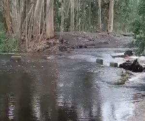 Water everywhere after the recent rain!