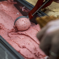 Gelato Scoop - Bellissimo Pizza Gelato Coffee & Desserts- Xplorioâ„¢ Kleinmond