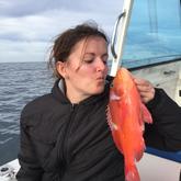 Michelle Fishing Charters R1700.00 per person - Michelle Deep Sea Fishing Charters - Xplorioâ„¢ Agulhas/Struisbaai