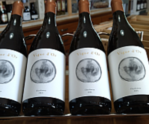 In Stock:Â Vigne d'Or Chardonnay