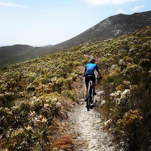 WhatsApp_Image_2019_12_05_at_10.32.01_2_1580999666_1661414357