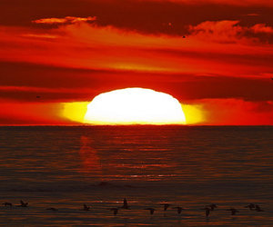 Updated Week 35 of 2013 - Gansbaai News, Specials & Events