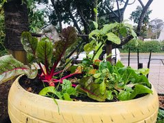 Weekly Enrichment Classes