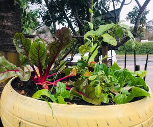 Weekly Enrichment Classes