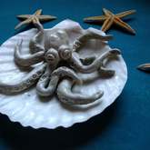 Clam Shell Octopus - Pot en Gieter Gift Basket - Xplorioâ„¢ Gansbaai
