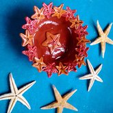 Starfish Bowl - Pot en Gieter Gift Basket - Xplorioâ„¢ Gansbaai