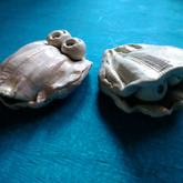 The Clam Brothers - Pot en Gieter Gift Basket - Xplorioâ„¢ Gansbaai