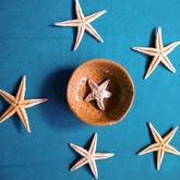 Small Ring Starfish Bowl - Pot en Gieter Gift Basket - Xplorioâ„¢ Gansbaai