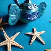 Funky Fish - Pot en Gieter Gift Basket - Xplorioâ„¢ Gansbaai