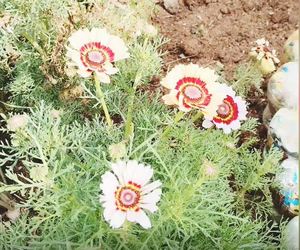 Happy Spring Day from Youth CafÃ© Villiersdorp!